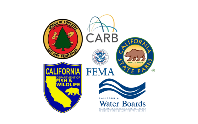 Agencies: Their Roles and Interrelations